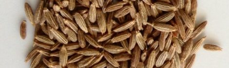 SPICE SPOTLIGHT: CUMIN