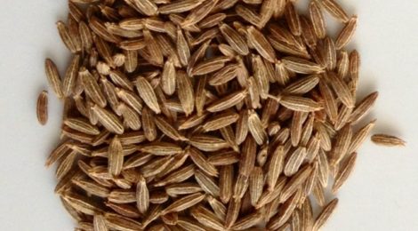 SPICE SPOTLIGHT: CUMIN