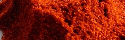 SPICE SPOTLIGHT: PAPRIKA