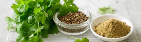 SPICE SPOTLIGHT: CORIANDER