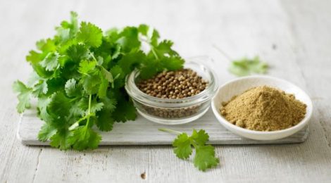 SPICE SPOTLIGHT: CORIANDER