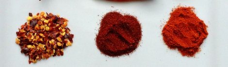 SPICE SPOTLIGHT: RED CHILLI PEPPER