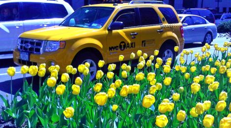 Springtime in New York City
