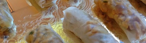 Fresh Indian Spring Rolls