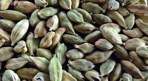 Green Cardamom Pods