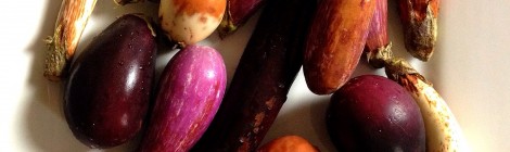 Spicing up baby eggplants