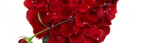 Valentine's Day Rescue! Need a romantic idea? Make dinner for your special someone