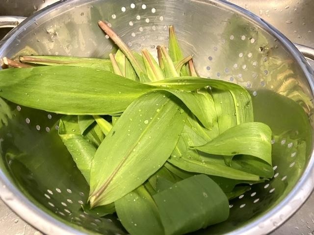Spring ramps